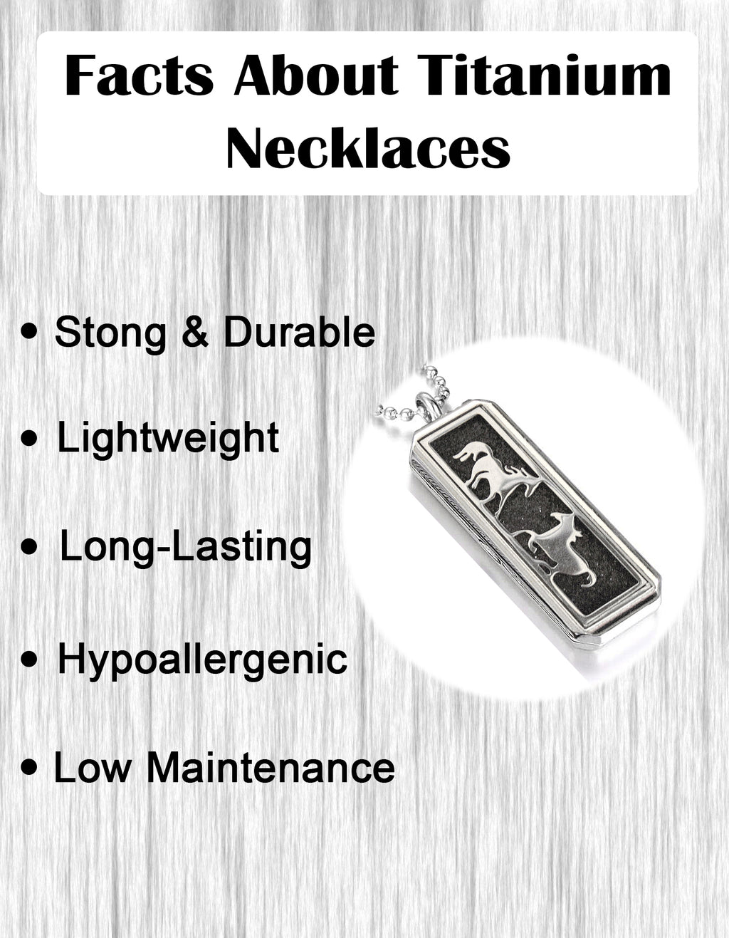 Just Aroma 08B07 Unisex Essential Oil Aromatherapy Titanium Locket Pendant Diffuser Necklace - Wild Horses