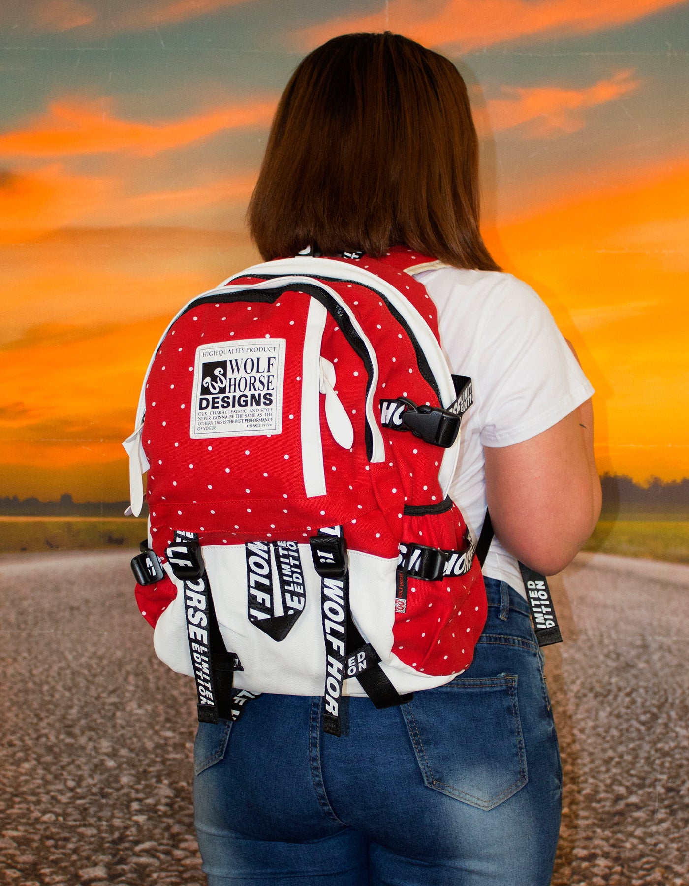 Fino K30 Wolf Horse 22L Unisex 15 Inch Laptop Backpack