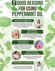 Just Aroma Premium 100% Pure and Natural Peppermint Essential Oil – 100ml