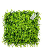 Masturf Premium Fresh Maple 50 x 50cm Faux Leaves UV Resistant Panel